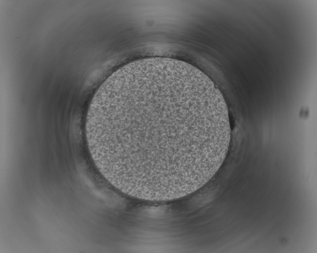 X0000110940306200907311023