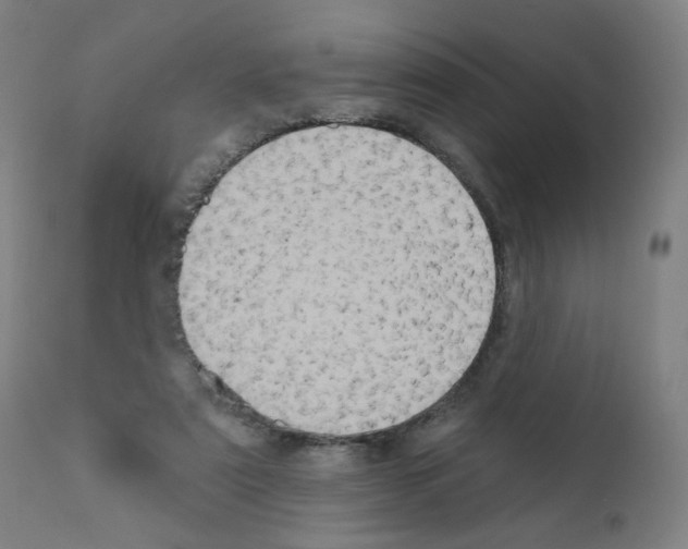 X0000110940307200907311023