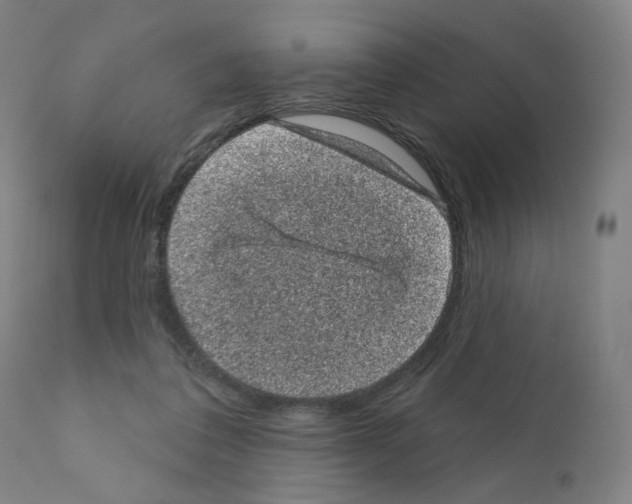 X0000110940308200907311023