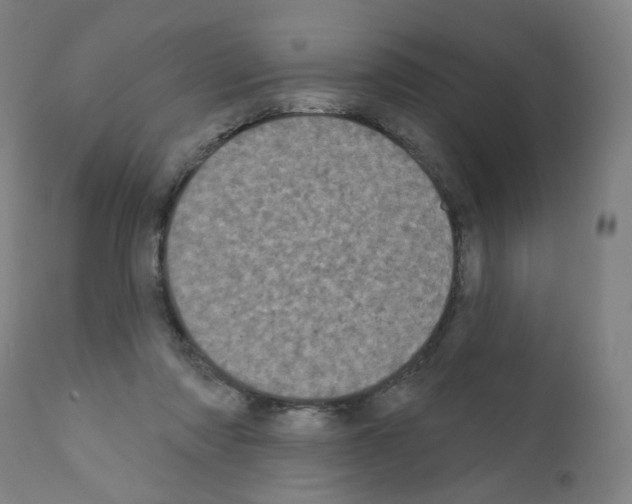X0000110940310200907311023