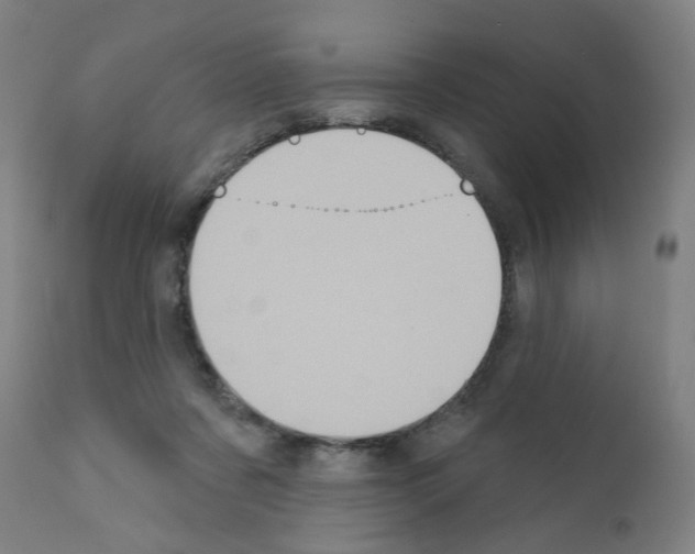 X0000110940311200907311023