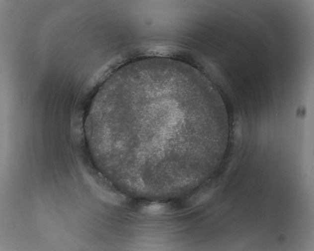 X0000110940312200907311023