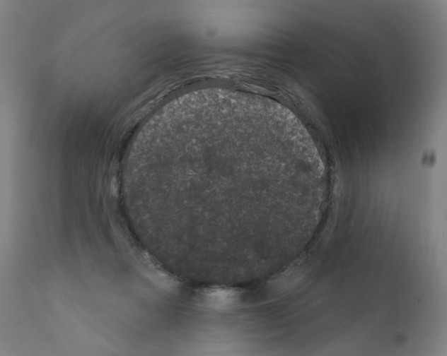 X0000110940313200907311023