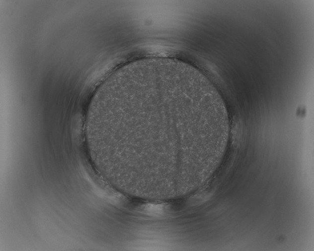 X0000110940314200907311023