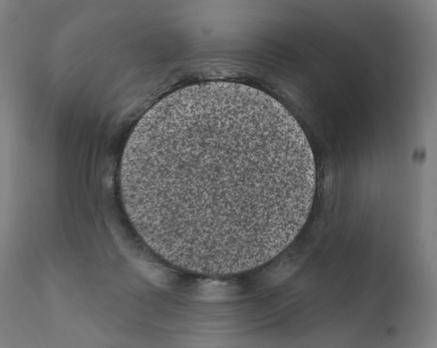 X0000110940315200907311023
