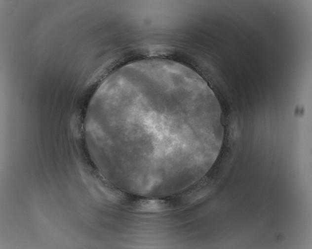 X0000110940316200907311023