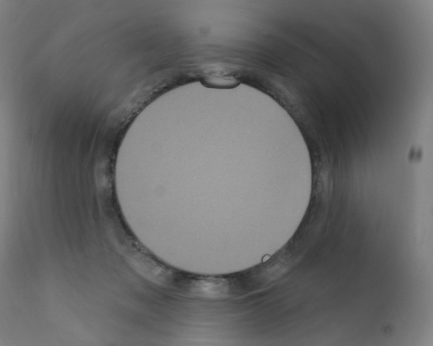 X0000110940317200907311023