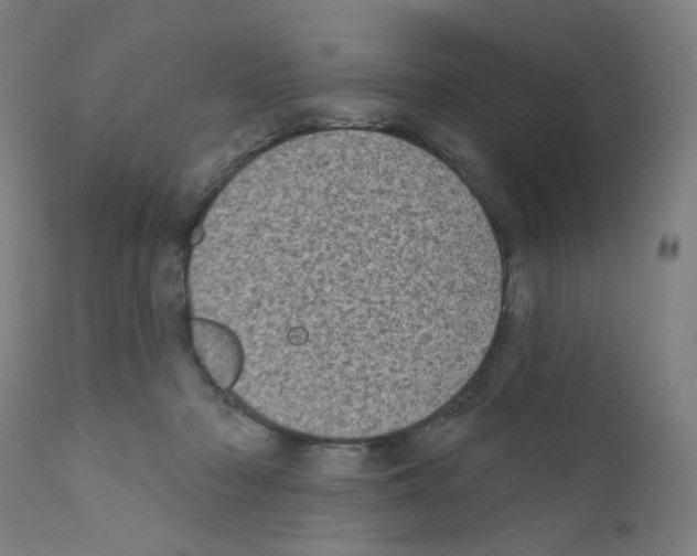 X0000110940318200907311023