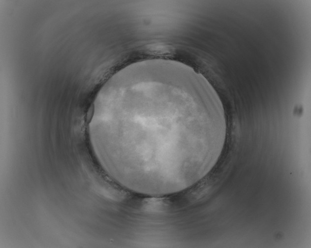X0000110940320200907311023