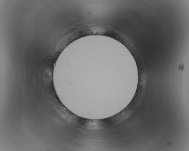 X0000110940321200907311023