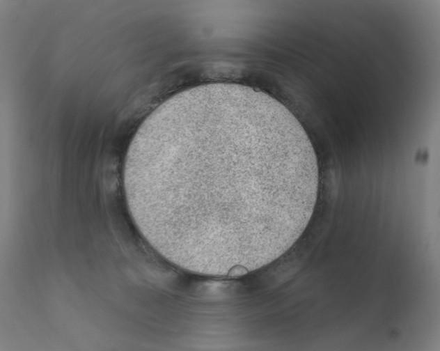 X0000110940323200907311023