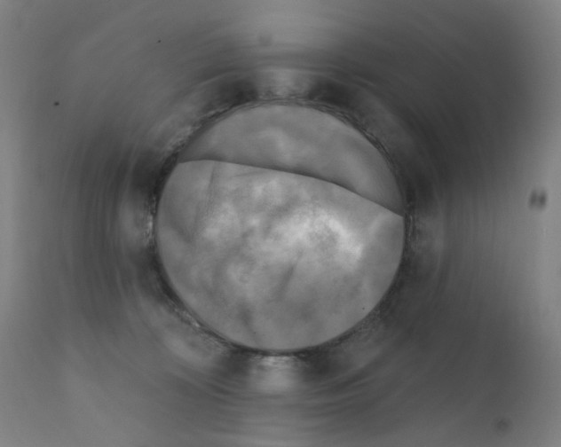 X0000110940324200907311023