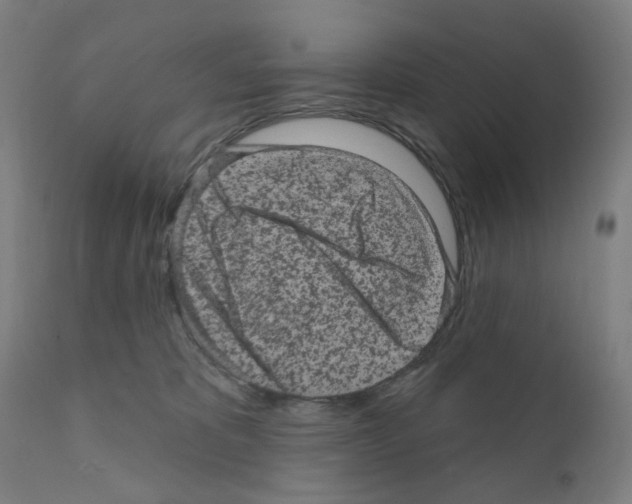 X0000110940325200907311023