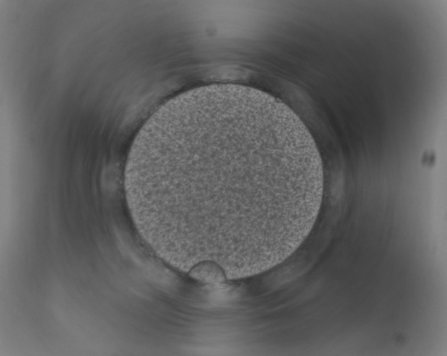 X0000110940326200907311023