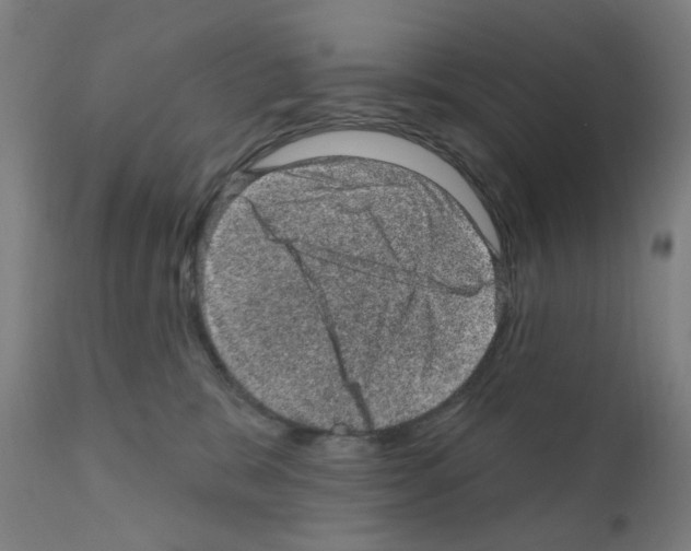 X0000110940327200907311022