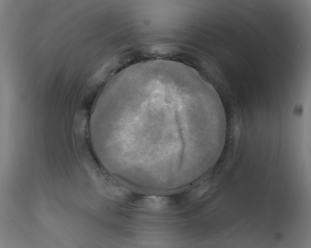 X0000110940328200907311022