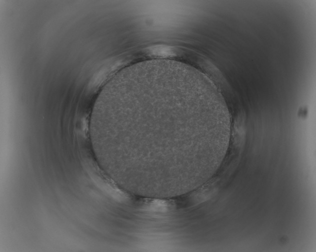 X0000110940330200907311022