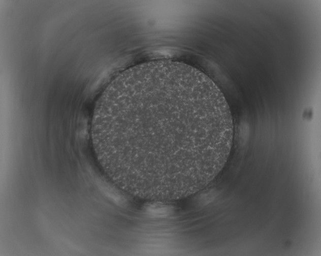 X0000110940331200907311022