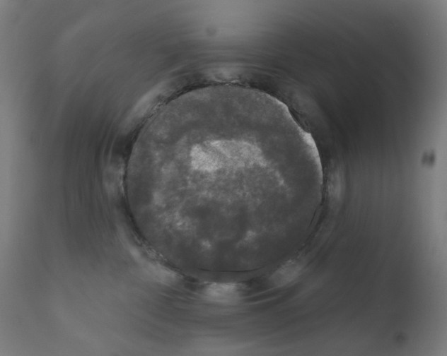 X0000110940332200907311022