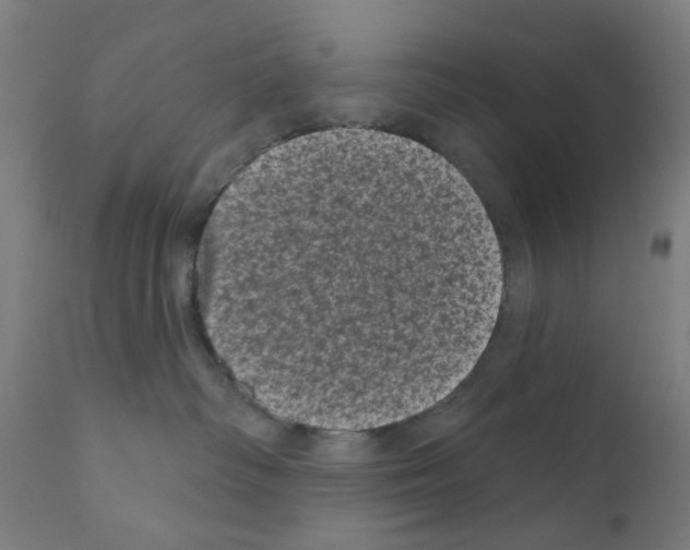 X0000110940334200907311022