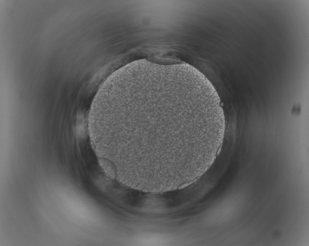 X0000110940335200907311022