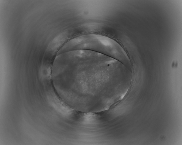 X0000110940336200907311022