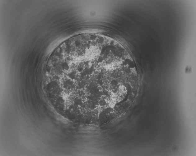 X0000110940337200907311022