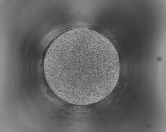 X0000110940338200907311022