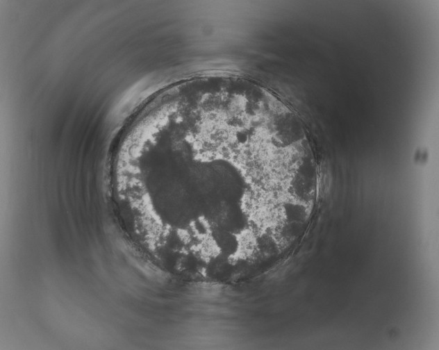 X0000110940339200907311022