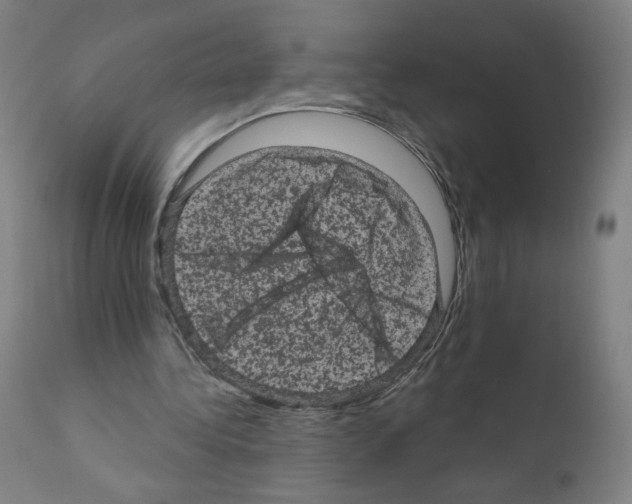 X0000110940340200907311022
