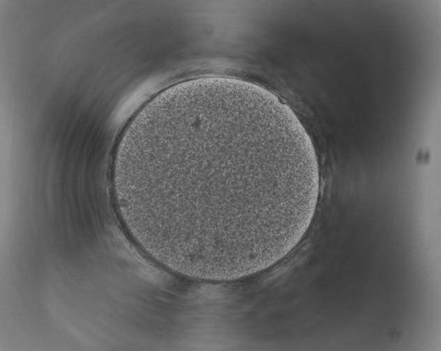 X0000110940341200907311022