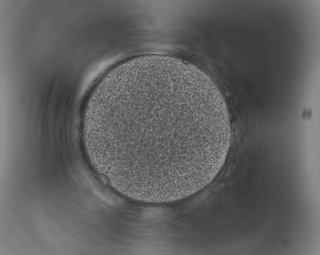 X0000110940342200907311022