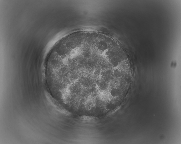 X0000110940343200907311022