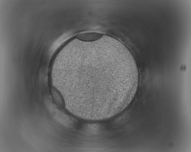 X0000110940344200907311022