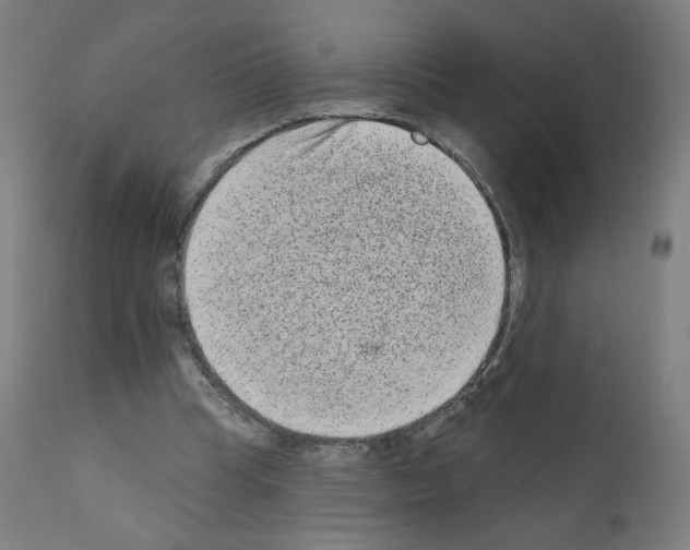 X0000110940345200907311022