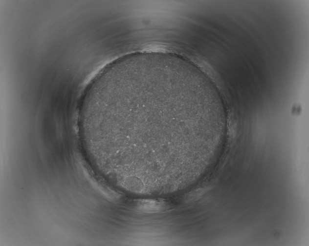 X0000110940347200907311022