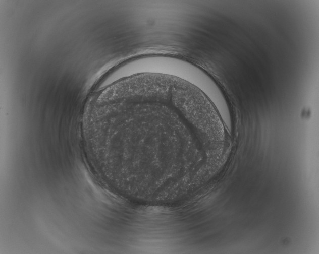 X0000110940348200907311022