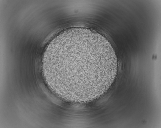 X0000110940349200907311022