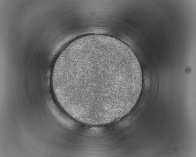 X0000110940350200907311022