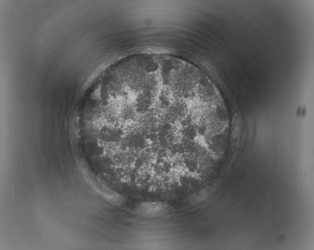 X0000110940351200907311022