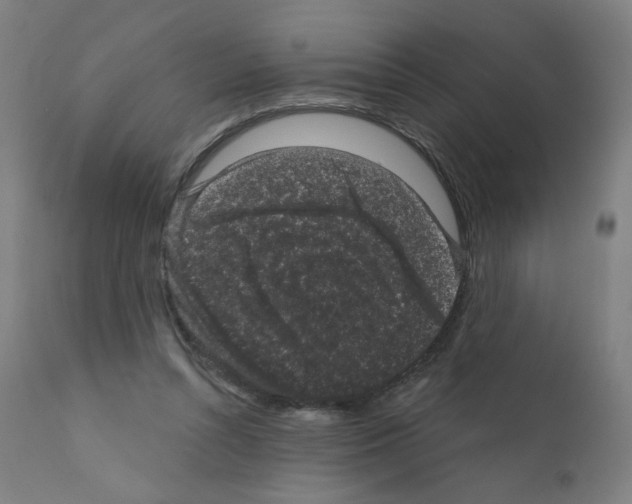 X0000110940352200907311022