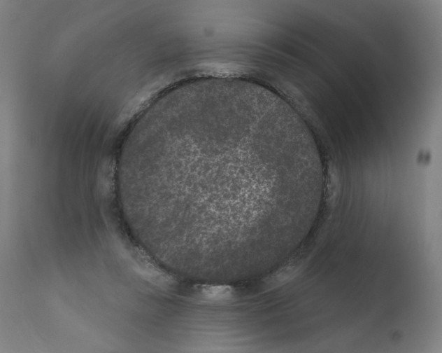 X0000110940355200907311022
