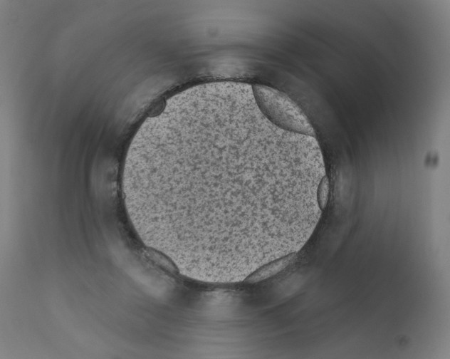 X0000110940356200907311022