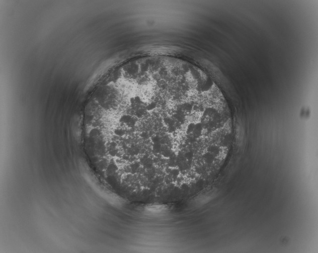 X0000110940357200907311022