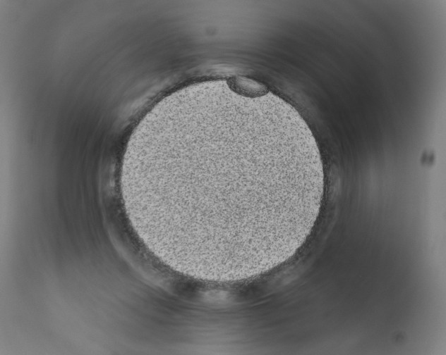 X0000110940358200907311022