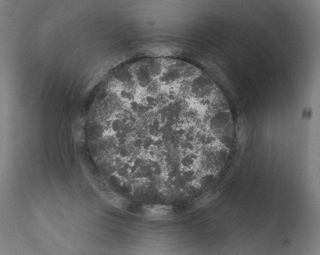 X0000110940359200907311022