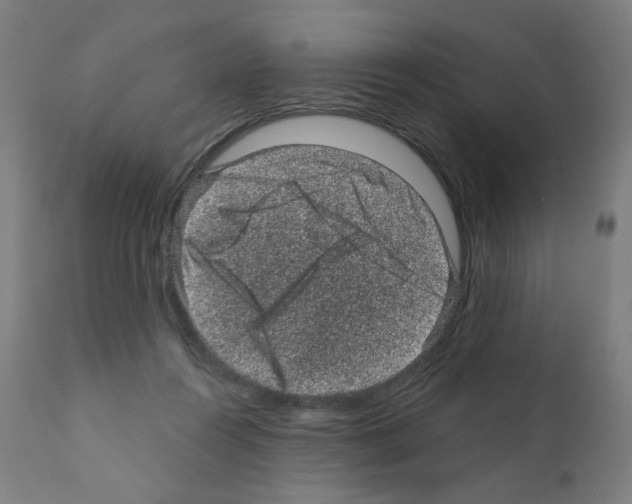X0000110940360200907311022