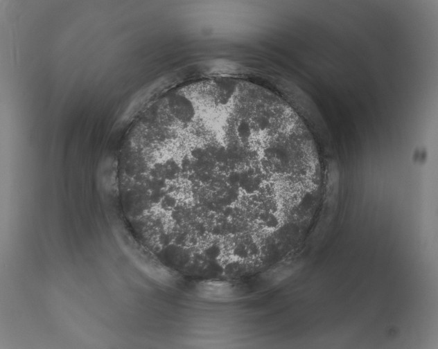 X0000110940361200907311022