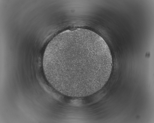 X0000110940362200907311022