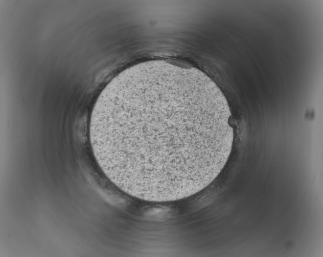 X0000110940364200907311022
